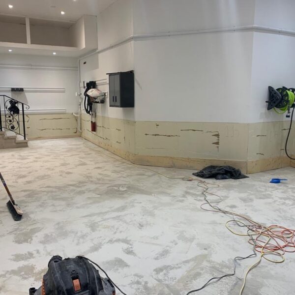 Falconwood Hollow Aurora Project - 5