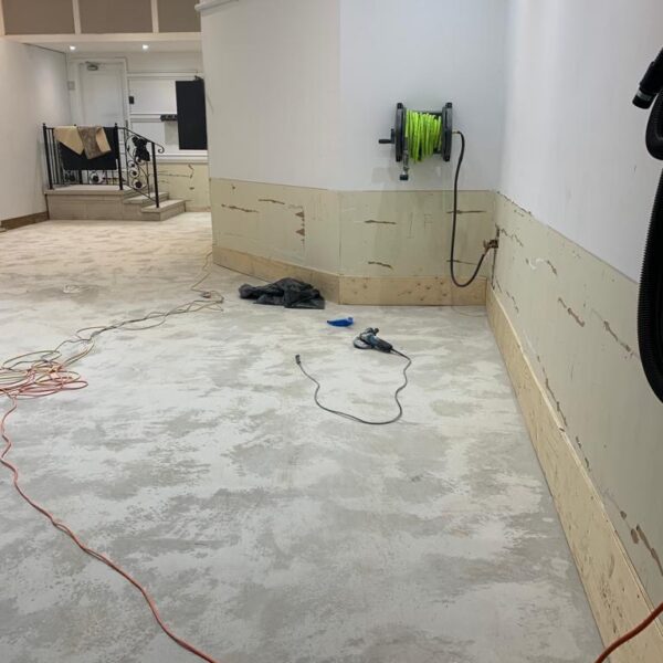 Falconwood Hollow Aurora Project - 7