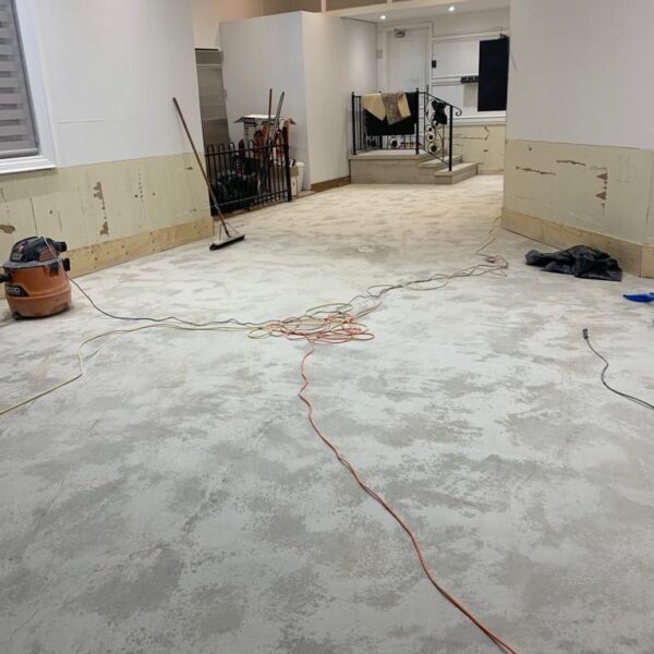 Falconwood Hollow Aurora Project - 8